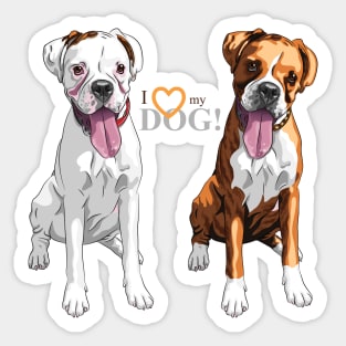 Boxer Sticker